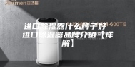 进口除湿器什么牌子好 进口除湿器品牌介绍【详解】